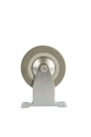 Изображение Колесо аппаратное неповоротное FCg 46 100 мм (F)